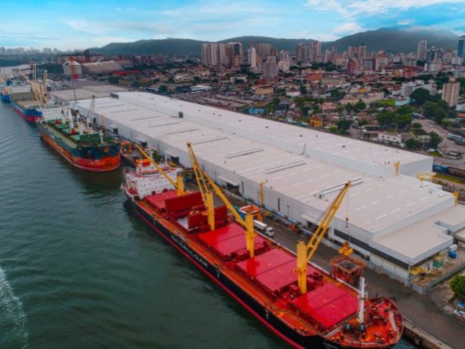 Porto Santos - Celulose